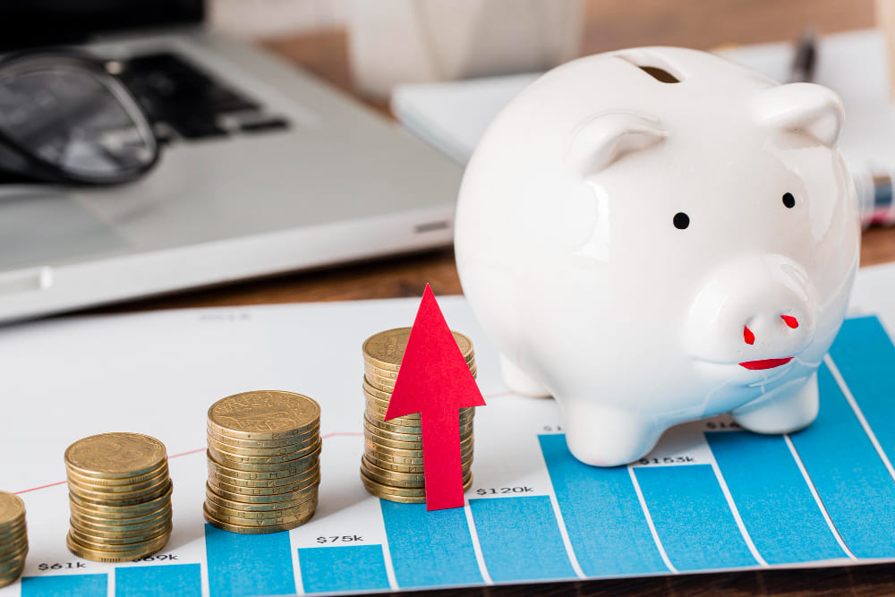 Optimisation de son patrimoine